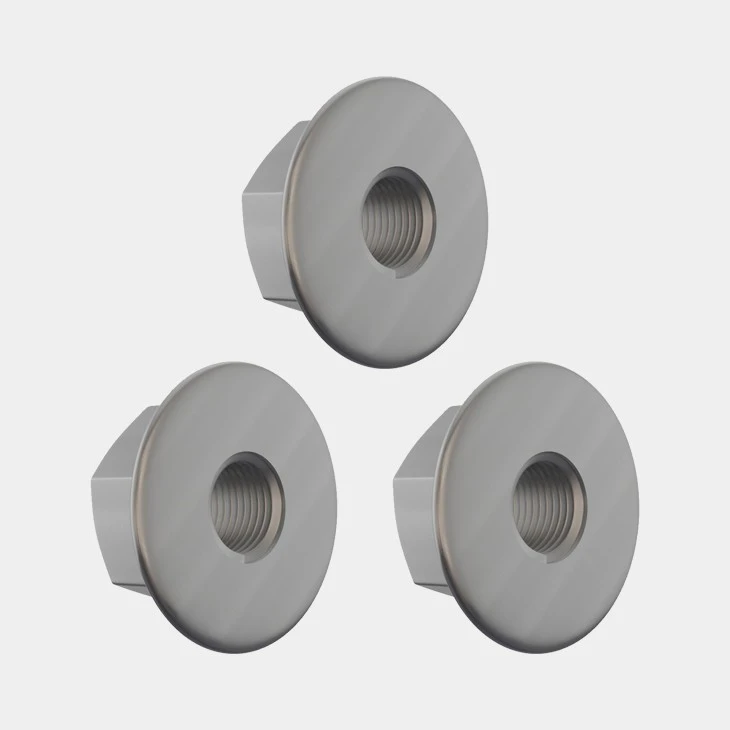 Stainless Flange Nut-AYA NUTS